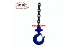 China OEM Double Ratchet Pawls Elephant Hand Chain Hoist 1000kg HSZ-CB supplier