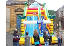 China Palm Tree Bouncy Castle Commercial Inflatable Slide For Amusement Park supplier
