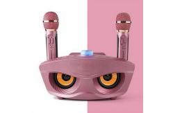 China 30W Family Karaoke Multifunctional Wireless Speak With Mic Recorder supplier