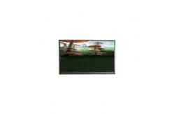 China LS043T1LX01A LCD Screen Display 4.3 inch LCD Panel supplier