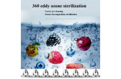 China Ozone Fruit And Vegetable Washing Machine 200KG/H Stainless Steel 304 Material supplier