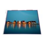 LTM06C310S 6.3 inch LVDS 262K TFT-LCD Screen Module for sale