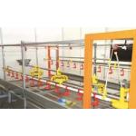 Accuracy 2g Chicken Feeding Line PLC Automatic Broiler Feeding System