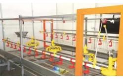 China Accuracy 2g Chicken Feeding Line PLC Automatic Broiler Feeding System supplier