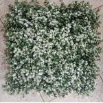 50cm*50cm Fake Green Grass Wall Size Customizable PE for sale