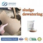 High Molecular Flocculant Cationic Landfill Leachate Wastewater Treatment for sale