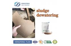 China High Molecular Flocculant Cationic Landfill Leachate Wastewater Treatment supplier