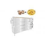 2000kg/h SUS304 Vegetable Screw Peeling Washing Machine for sale