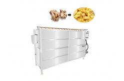 China 2000kg/h SUS304 Vegetable Screw Peeling Washing Machine supplier