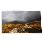 21.5 inch 1920x1080 LM215DT8A Touch Screen Display for sale