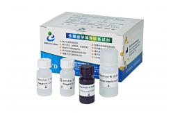 China Sperm DNA fragmentation test sperm chromatin structure assay SCSA supplier