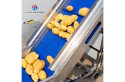 China 1000kg/H Pineapple Cutting Machine Fruit Vegetable Production Line supplier