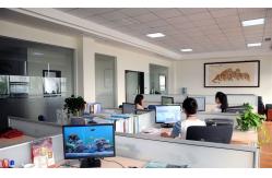 China LED Pixel Strip manufacturer