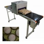 Easy To Operate Egg Batch Number Printer With Computer Software Control for sale