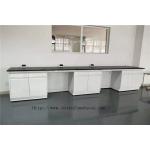 School Rustproof Lab Island Bench , Durable Laboratory Cabinets And Countertops