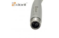 China Borden 2 Hole 11mm Head High Speed Turbine Handpiece Contra Angle Handpiece supplier