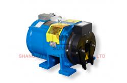 China Machine Single Wrap Load 250kg Home Elevator Motor With 20 Poles supplier