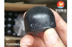 China ASTM A234 WPB End Cap Carbon Steel Buttweld Pipe Fitting supplier