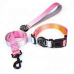 Polyester cute dog leash and collar set Anti Break Metal Buckle Lable With Handle for sale