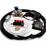 Custom Autogas CNG LPG Conversion Kits Four Cylinder CNG Gas Conversion Kits