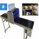 Free Upgrade Egg Jet Batch Coding Machine Can Print All The Words And Fonts for sale