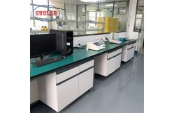 China Heavy Duty Chemistry Lab Workbench  With Storage In Silver High Durability supplier