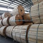 Sample 0.6/1kv Power Transmission Concentric Cable with Copper Conductor Material