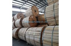 China Sample 0.6/1kv Power Transmission Concentric Cable with Copper Conductor Material supplier