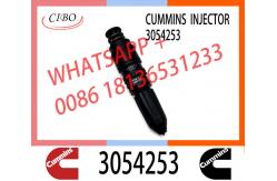 China 3054218 3054253 Engine fuel injector nozzle assy 3054218 3054253 injector nozzles supplier