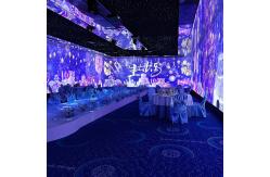 China Customized Outdoor Forest 3d Mapping Interactive Projector Immersive Visual Projection supplier