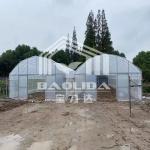 China 8m x 30m Galvanized Steel Single-Span Tunnel Greenhouse with PE Film for sale