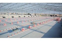 China Environment Friendly Steel Structure Poultry House Prefabricated supplier