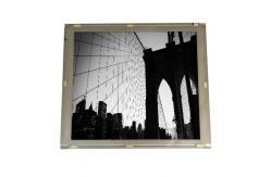 China LQ281L1LW12 28.1 inch 2048*2048 TFT-LCD Screen Panel supplier