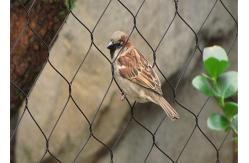 China SS316 Aviary Zoo 4.0mm Wire Rope Mesh For Bird Cages supplier