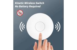 China SIXWGH Wireless Electrical Outlet Switch Remote Control Power Plug OEM ODM supplier