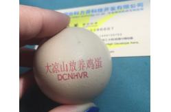 China Micro Characters / Dot Matrix Egg Stamping Machine Single Row No Need To Clean supplier