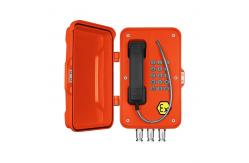 China Outdoor Wall Mounting Ex Proof Telephone supplier