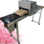 Number Logo Date Code Printing Machine / Egg Jet Printer Automatic Operation for sale