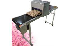 China Number Logo Date Code Printing Machine / Egg Jet Printer Automatic Operation supplier