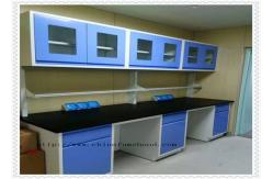China Floor Mounted Structure Chemistry Lab Cabinets And Countertops Anti Static supplier