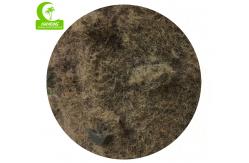 China Single Head Aesthetic 120cm Artificial Sago Palm Trees For Outdoor supplier