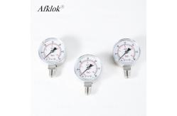 China Accurate Gas Pressure Test Gauge supplier