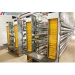 Steel Chicken Layer Cages A Type H Type Automated Battery Cage for sale