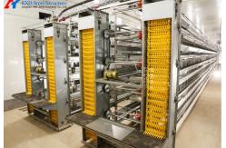 China Easy Operate Poultry Farm Automatic Laying Nest PP supplier