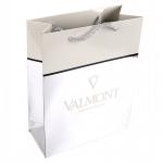 Custom Printed Glossy Silver Paper Carrier Bags With Embossed Logo Suppliers for sale