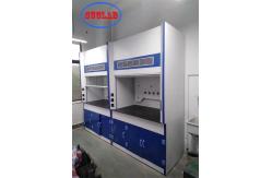China Fireproof FRP Material Lab Fume Cupboards For Wall Mounted Safety Features supplier