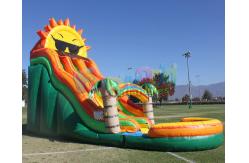 China Sunshine Inflatable Water Slide Blow Up Bounce For Backyard supplier