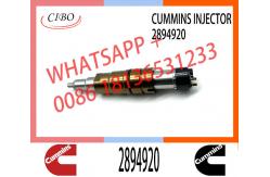 China Diesel Common Rail Fuel Injector 2872405 2894920 2872544 2086663 supplier