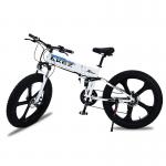20mph Lithium Battery Electric Bike Double Disc Brake for sale