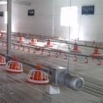 AC110V 220V Automatic Poultry Feeder System Auto Chicken Feeder for sale